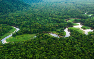 A bend in the river.