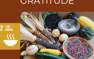 Indian corn + UN SDG